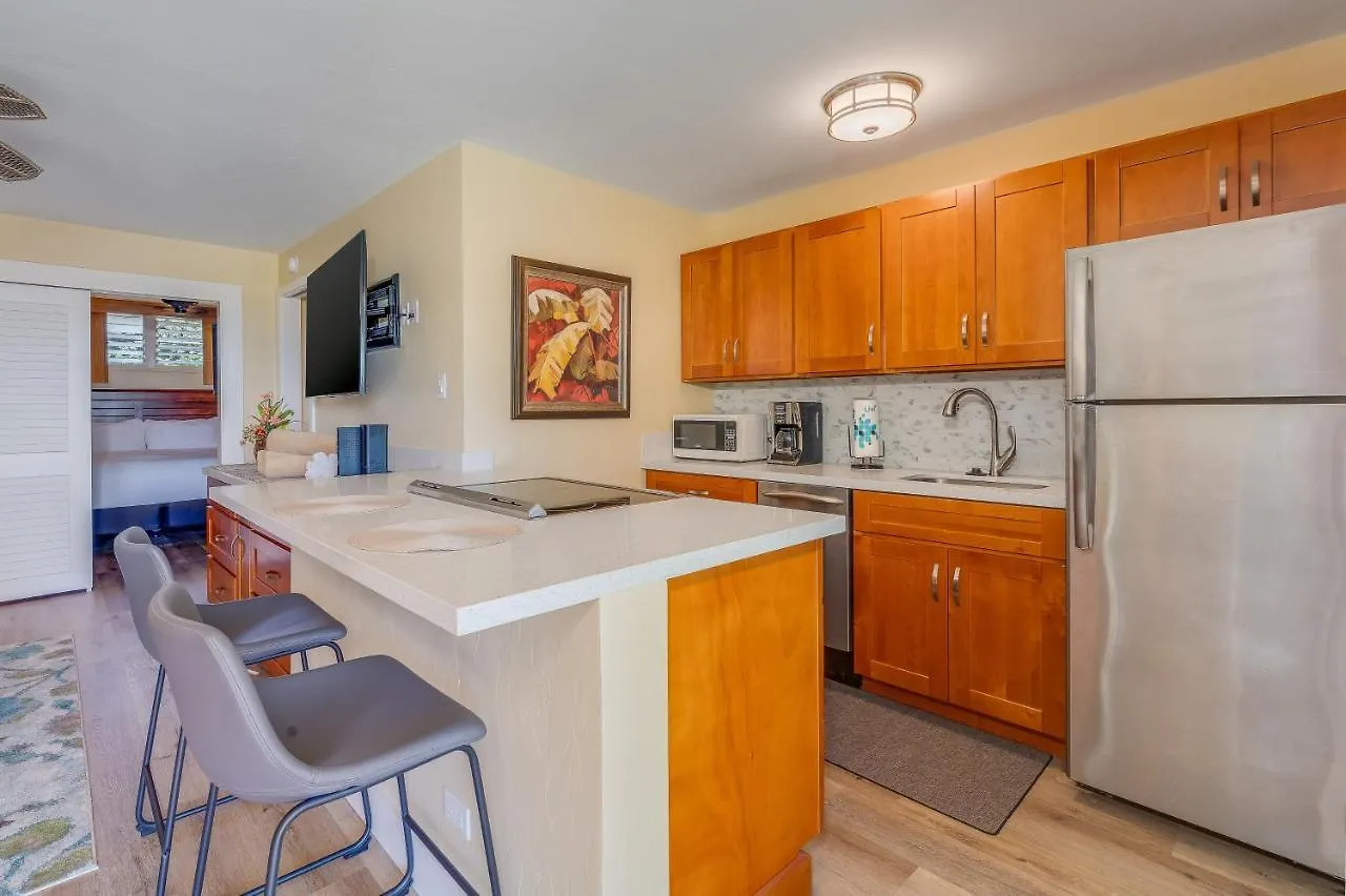 Hale Ono Loa 115 Apartment Kahana